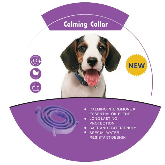 Pet Insect Repellent Collar for Cats and Dogs ? Flea & Mosquito Protection