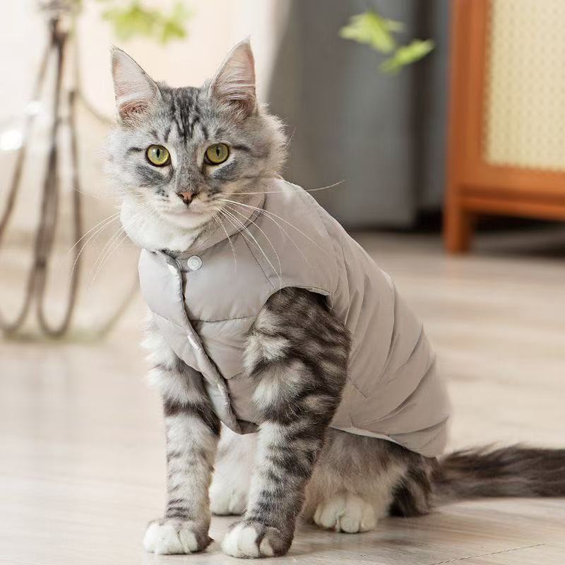 Winter Warm Cat Down Jacket with Leash Attachment